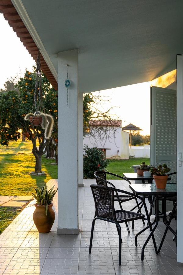Na Quinta- Alojamento Rural Com Piscina De Agua Salgada Poceirao 외부 사진