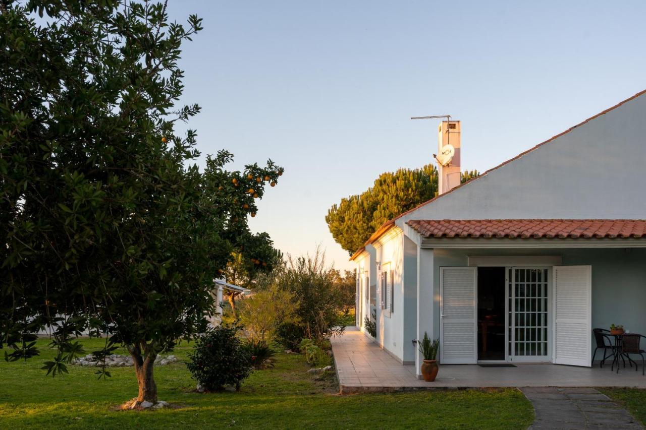 Na Quinta- Alojamento Rural Com Piscina De Agua Salgada Poceirao 외부 사진