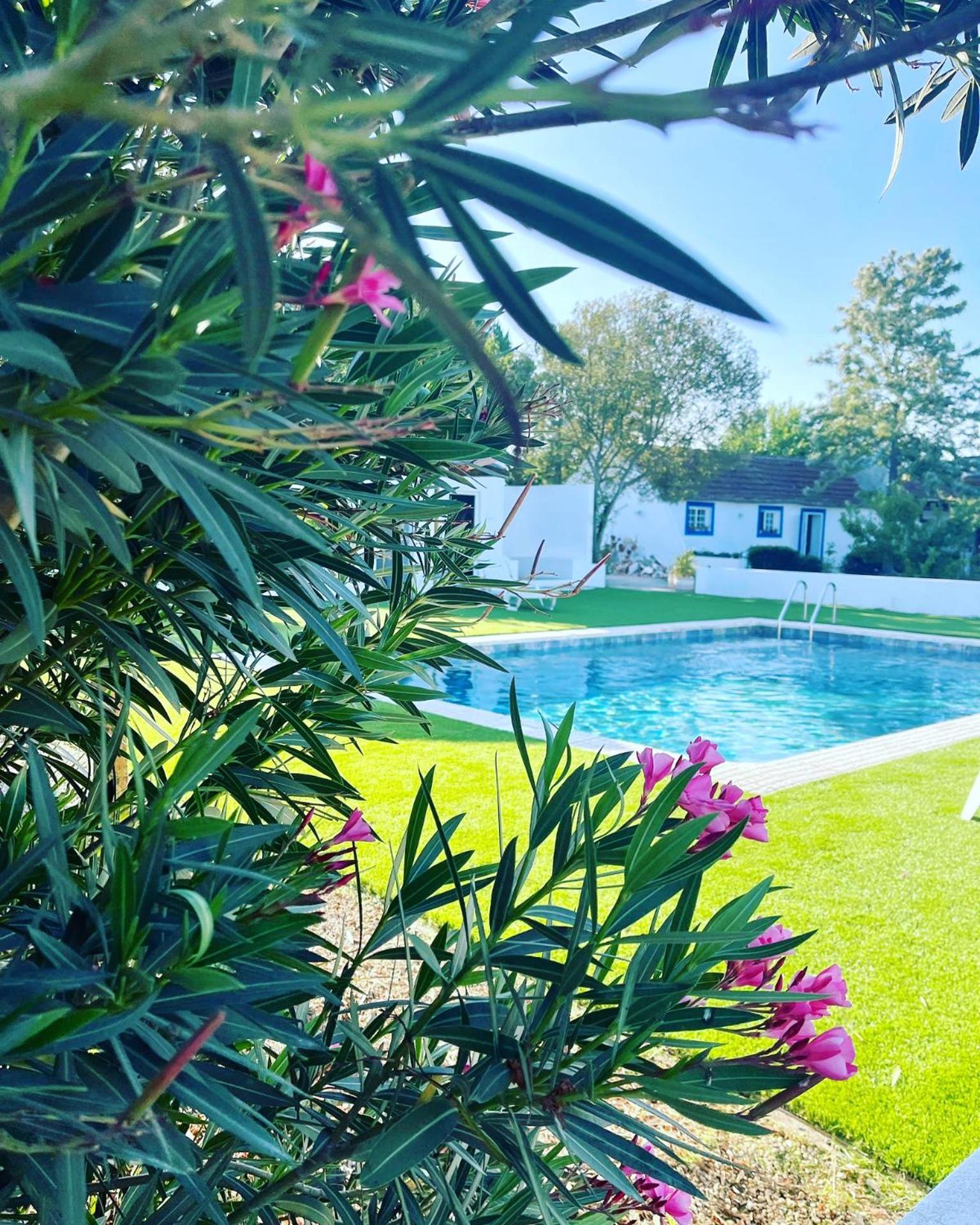 Na Quinta- Alojamento Rural Com Piscina De Agua Salgada Poceirao 외부 사진