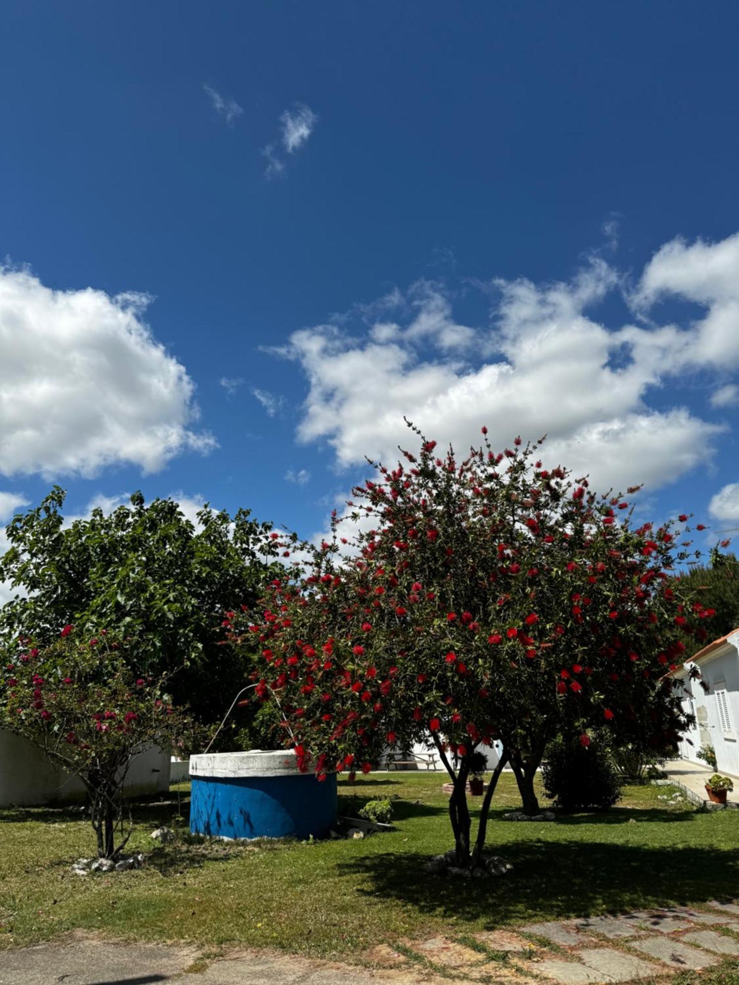 Na Quinta- Alojamento Rural Com Piscina De Agua Salgada Poceirao 외부 사진