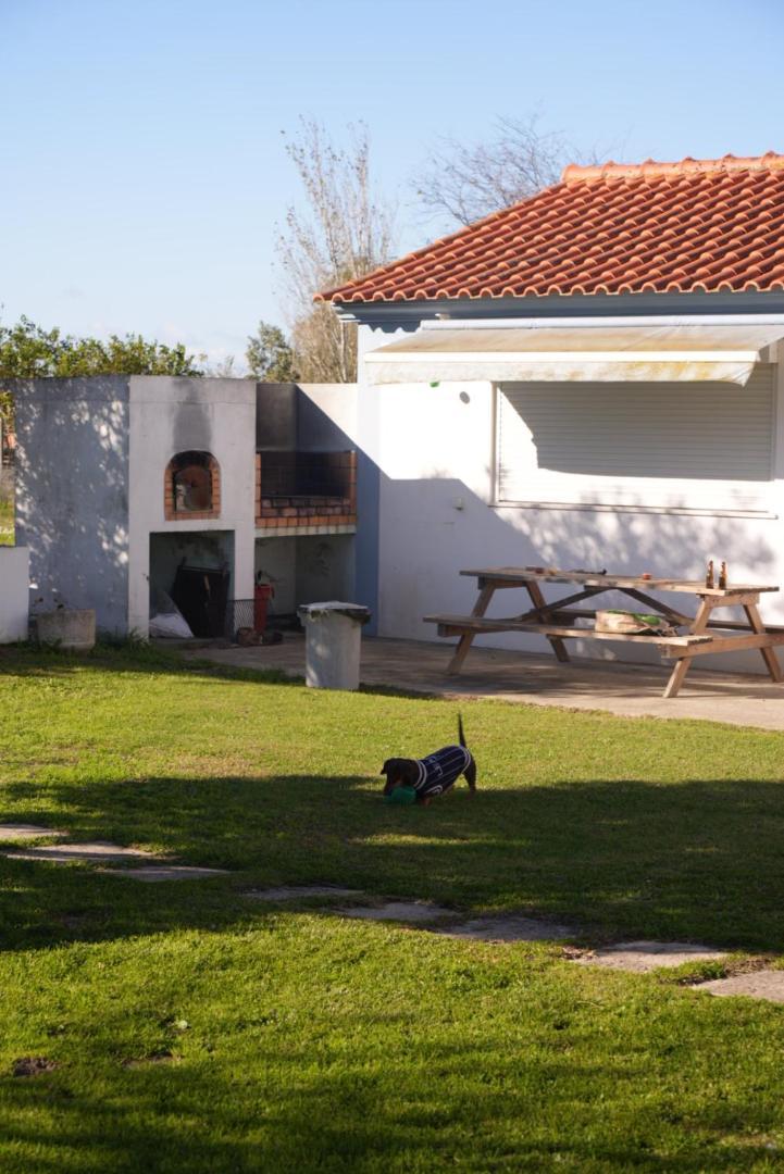 Na Quinta- Alojamento Rural Com Piscina De Agua Salgada Poceirao 외부 사진